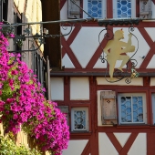 zur_hoell_rothenburg_002
